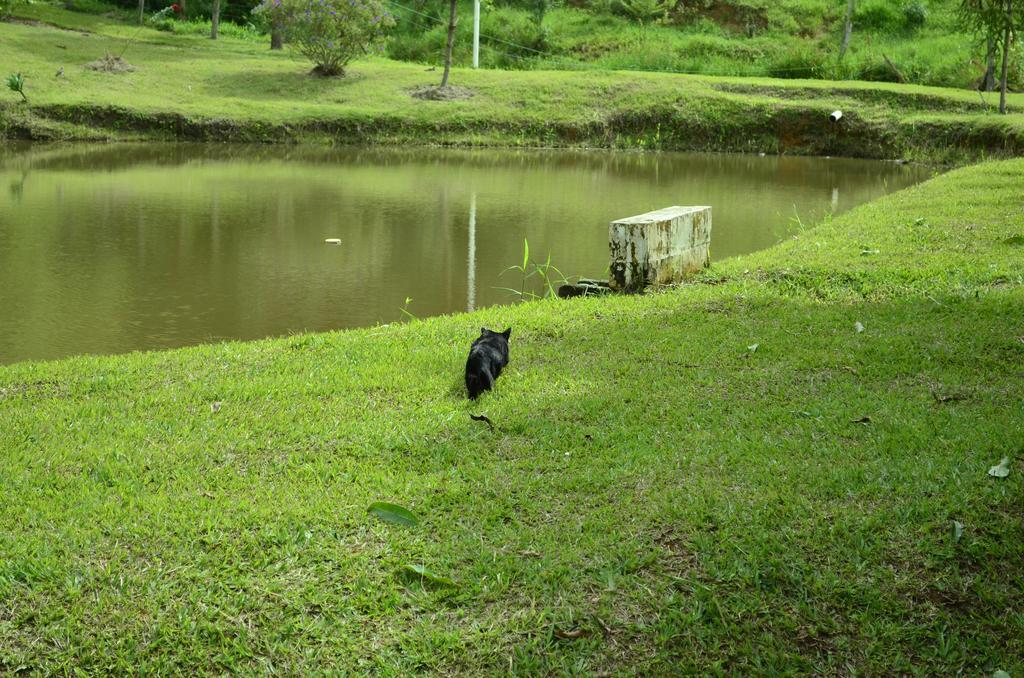 Pousada Rancho Da Mata Conservatória Eksteriør billede